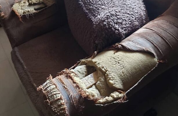 PHOTO-2020-05-11-14-44-57(1)