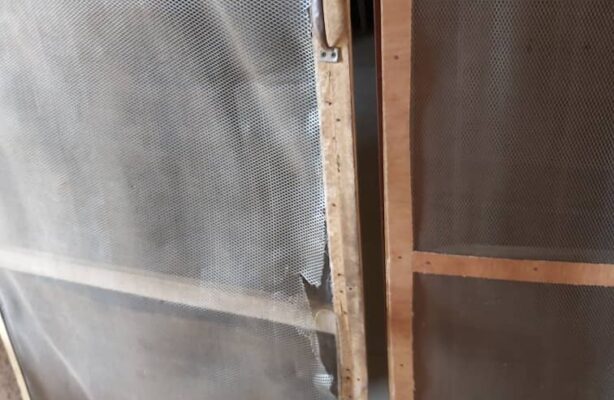 PHOTO-2020-05-11-14-44-58