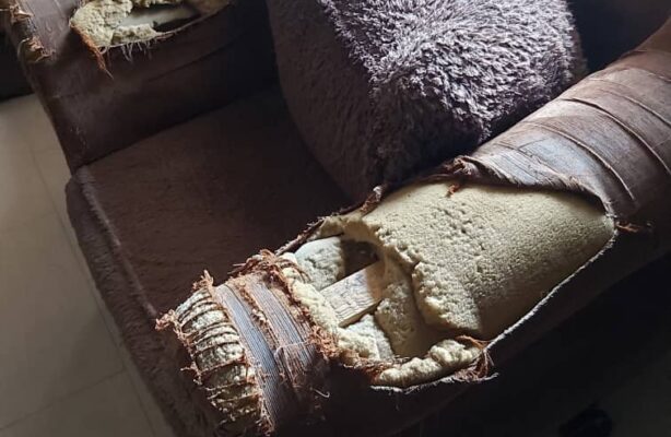 PHOTO-2020-05-11-14-44-58(1)