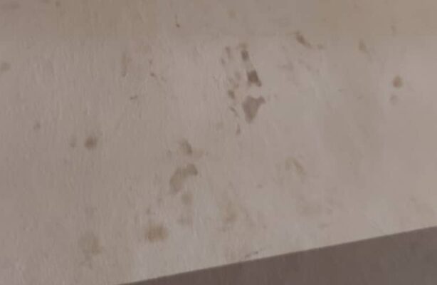 PHOTO-2020-05-11-14-45-07