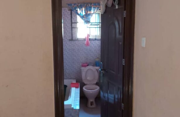 PHOTO-2020-05-12-12-35-23(1)