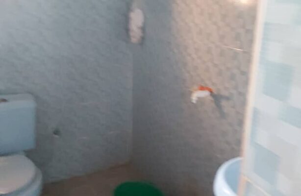 PHOTO-2020-05-12-12-36-37