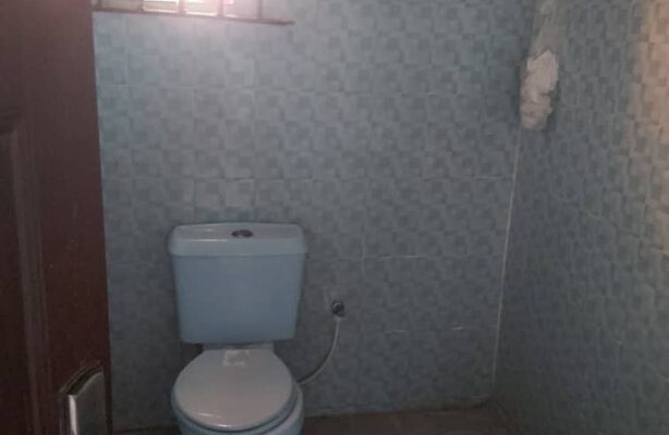 PHOTO-2020-05-12-12-36-39(1)