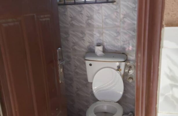 PHOTO-2020-05-12-12-36-43(1)